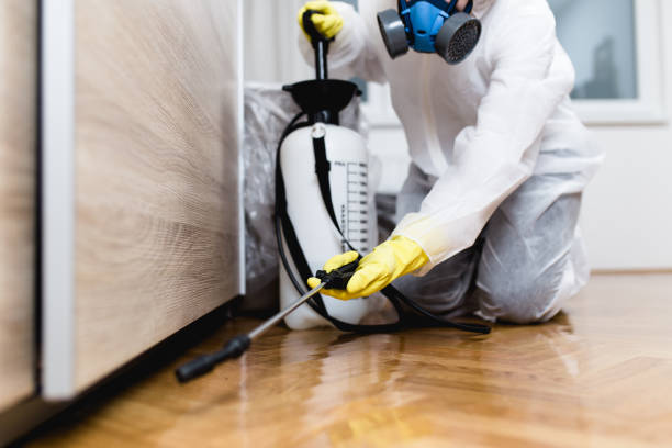 Best Best Pest Control Companies  in North Lima, OH