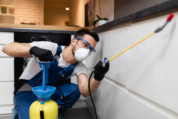 Best Pest Control Near Me in North Lima, OH