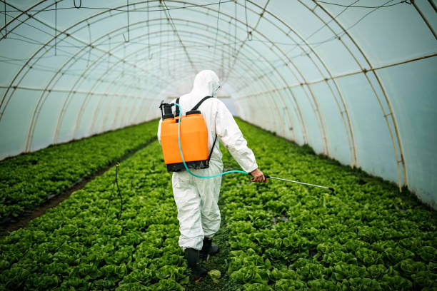 Pest Prevention Services in North Lima, OH
