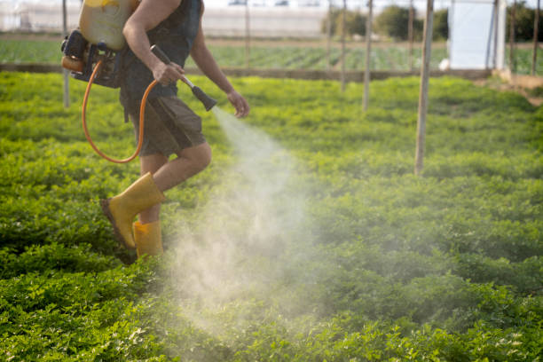 Best Affordable Pest Control Services  in North Lima, OH