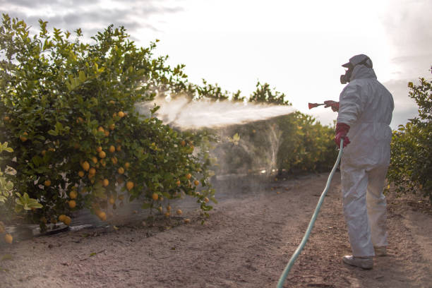 Best Best Pest Control Companies  in North Lima, OH