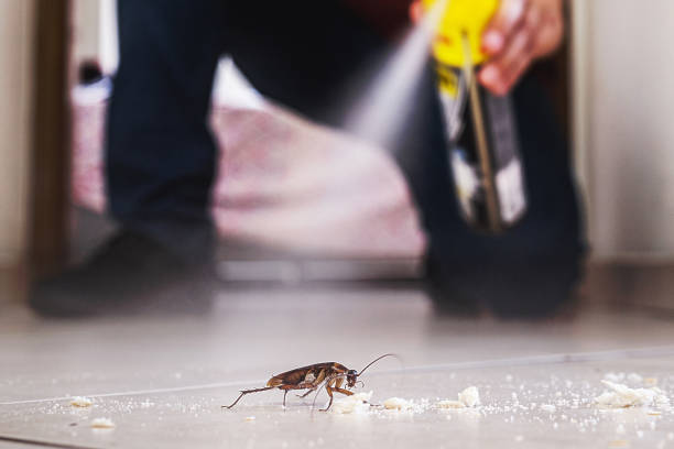 Best Emergency Pest Control  in North Lima, OH