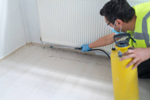 Best Pest Prevention Services  in North Lima, OH