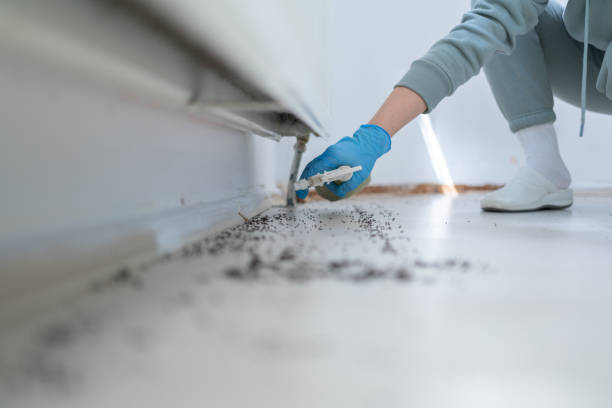 Best Bed Bug Extermination  in North Lima, OH